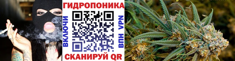 Конопля планчик  Кубинка 